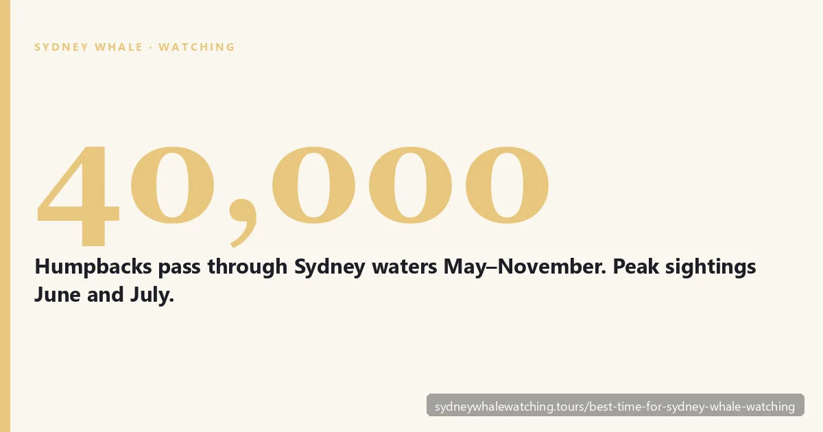 Best time for Sydney whale watching: 40,000 humpback whales pass through New South Wales waters between late May and early November on the Antarctic to Coral Sea migration corridor with peak sightings in June and July